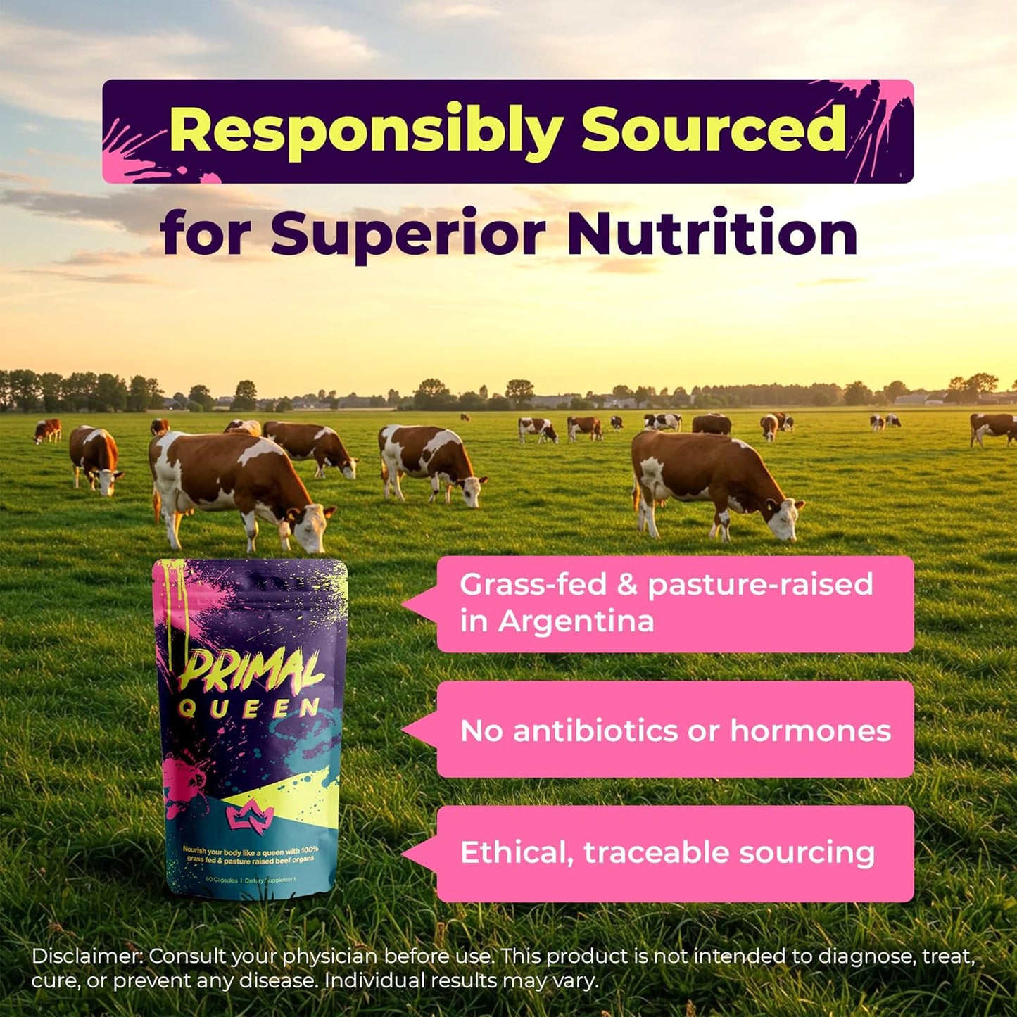 Primal Queen Optimized Beef Organ Superfood Supplement